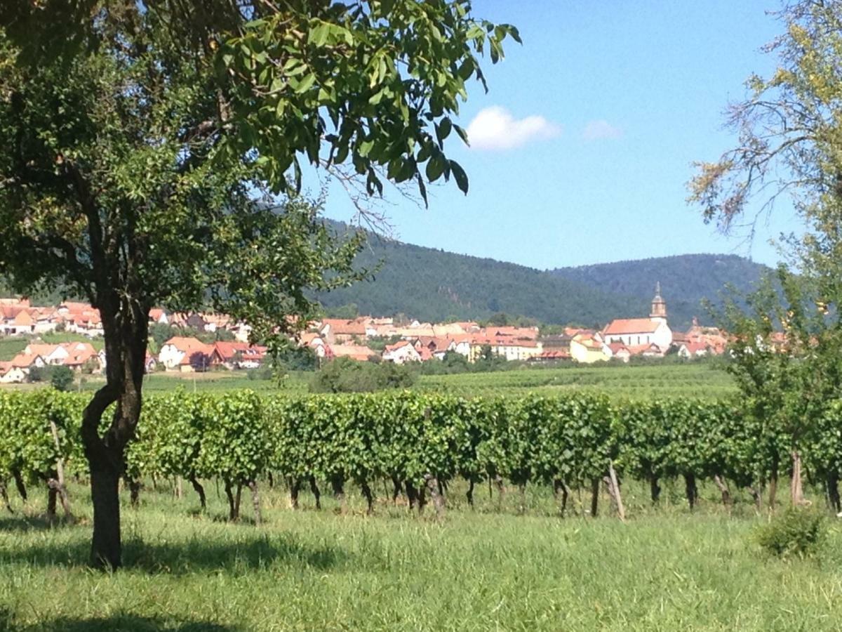 Le Voyage D'Ubuntu Villa Heiligenstein ภายนอก รูปภาพ