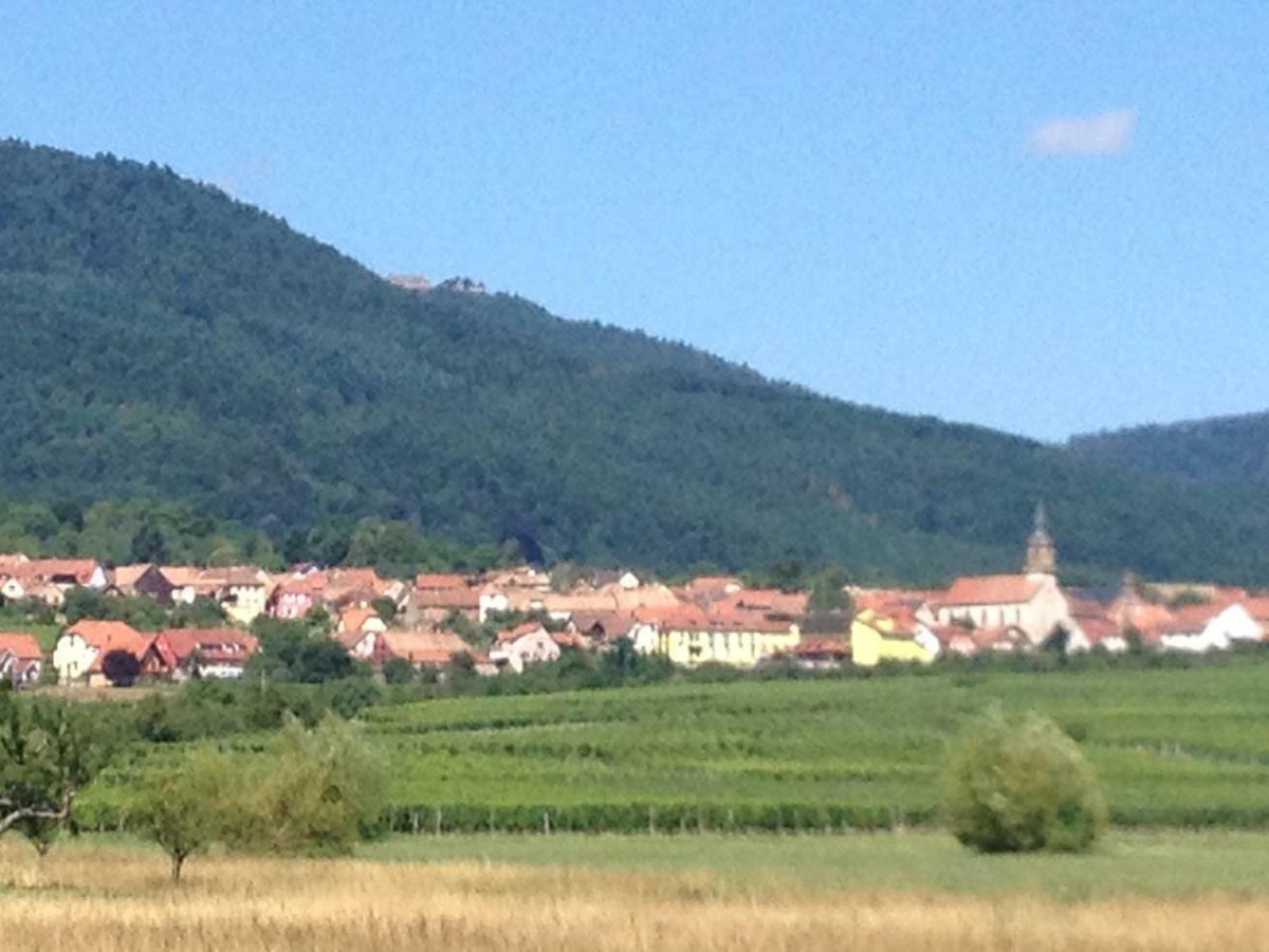 Le Voyage D'Ubuntu Villa Heiligenstein ภายนอก รูปภาพ