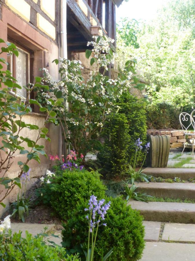 Le Voyage D'Ubuntu Villa Heiligenstein ภายนอก รูปภาพ
